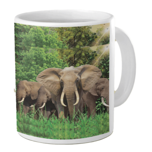 Elephants image imprinted on a white mug